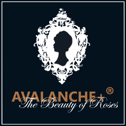 (c) Avalancheroses.com